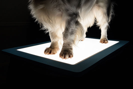 Glow Up Grooming Mat