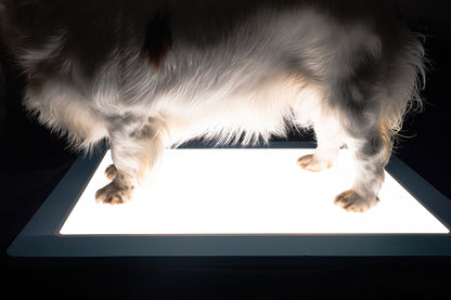 Glow Up Grooming Mat