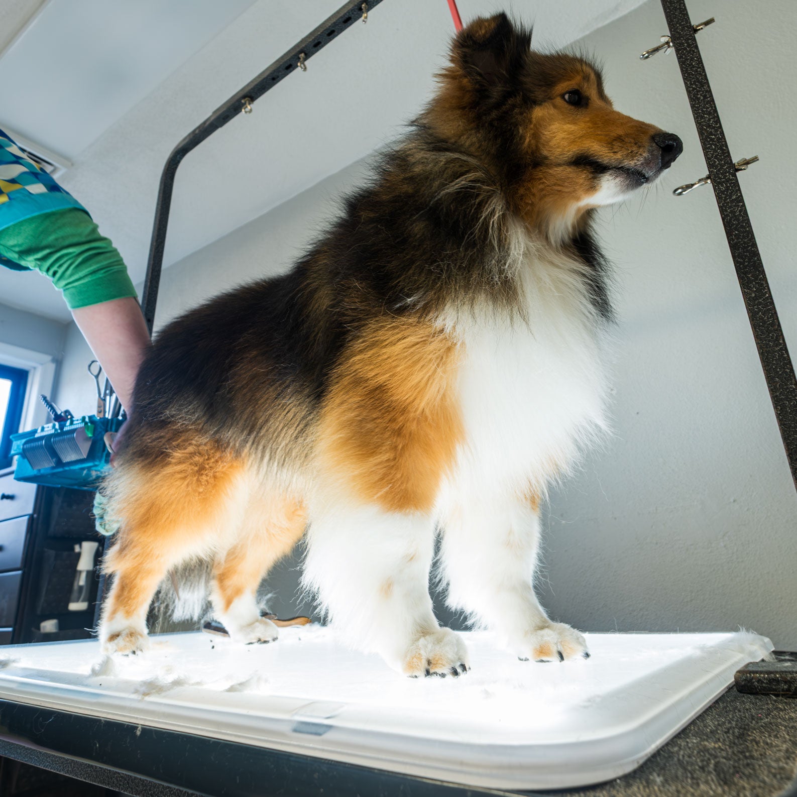 Glow Up Grooming Mat