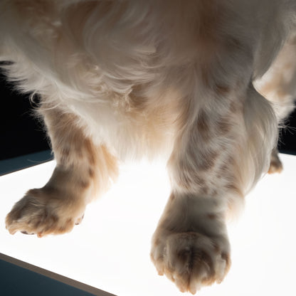 Glow Up Grooming Mat